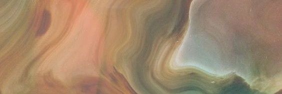 lazarodaniela_'s profile banner image