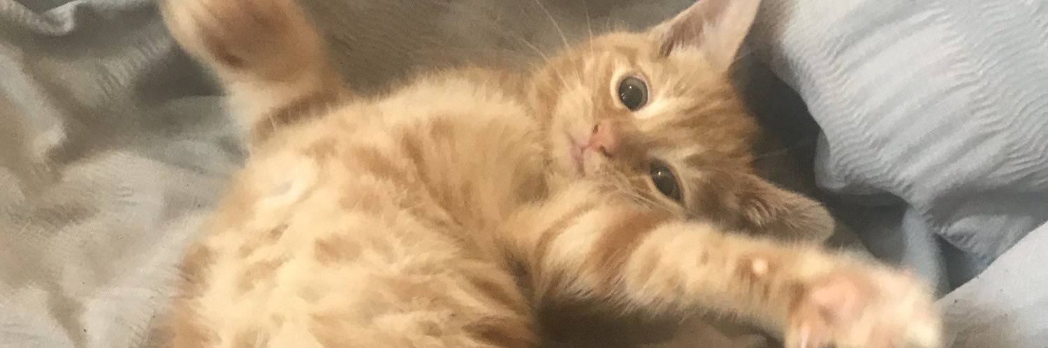 kizzakizzaa's profile banner image