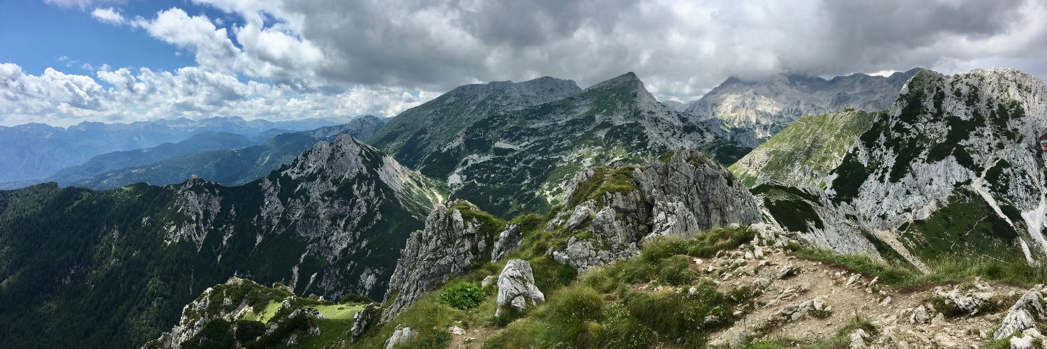 Stephanie🥨 banner