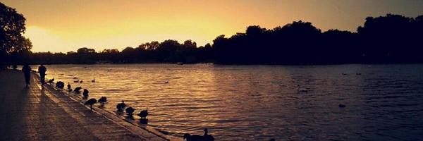 AmiraSassi04 Profile Banner