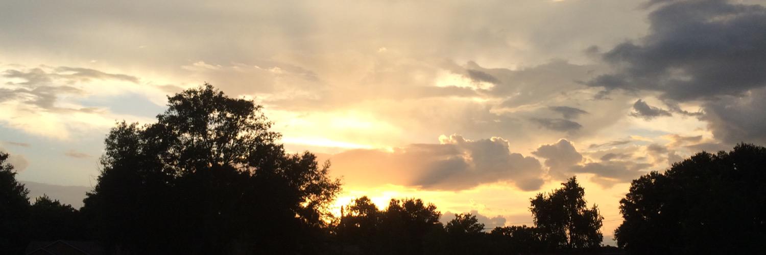 ashhhferdays's profile banner image