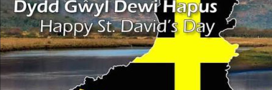 🏴󠁧󠁢󠁷󠁬󠁳󠁿WelshLady🏴󠁧󠁢󠁷󠁬󠁳󠁿 banner