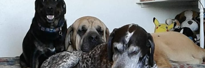 TheGoodMilk2's profile banner image
