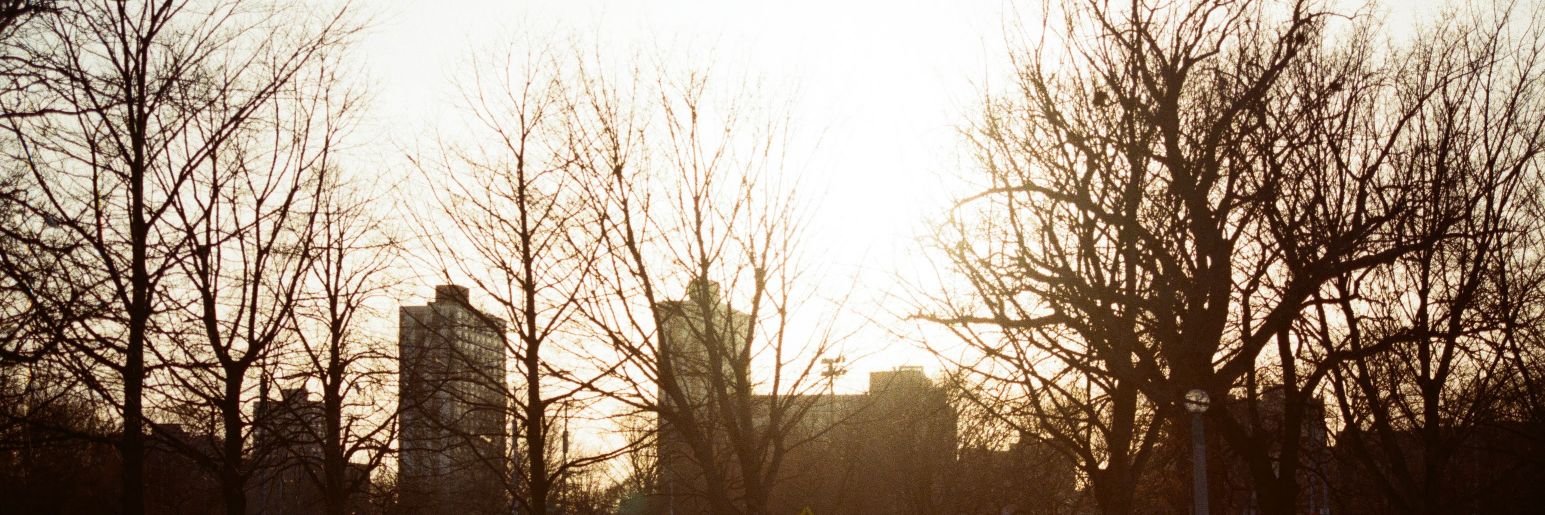 Allison Darrahill banner