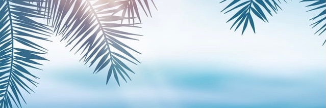 M__vf's profile banner image