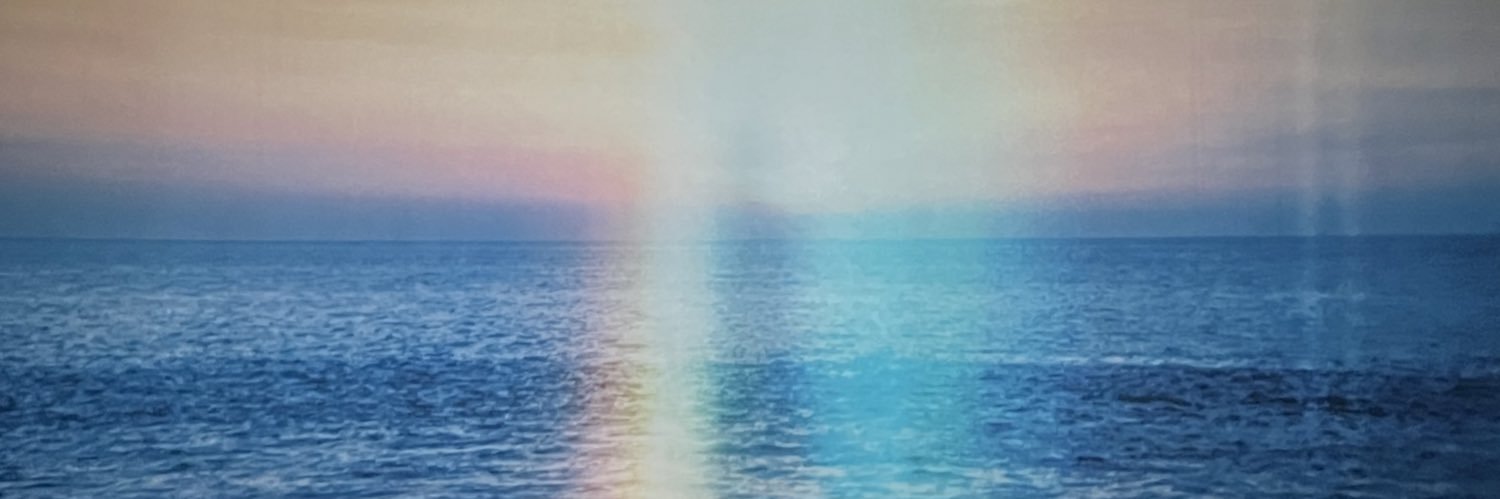 roponipi's profile banner image