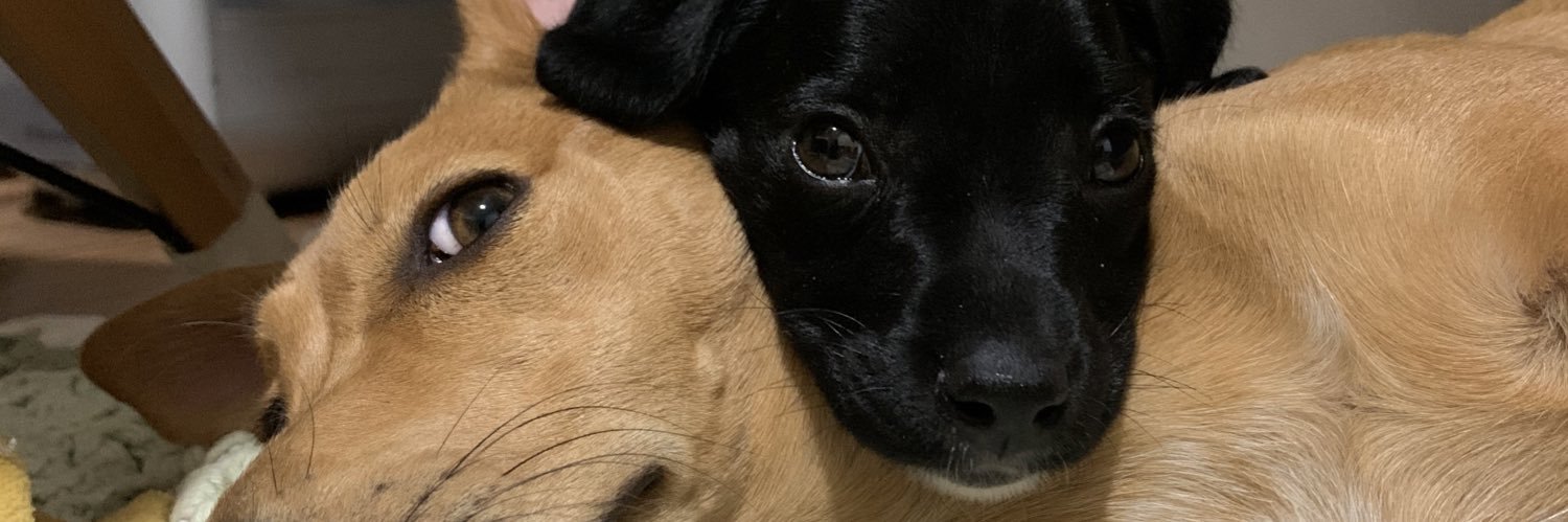 abrunoops's profile banner image