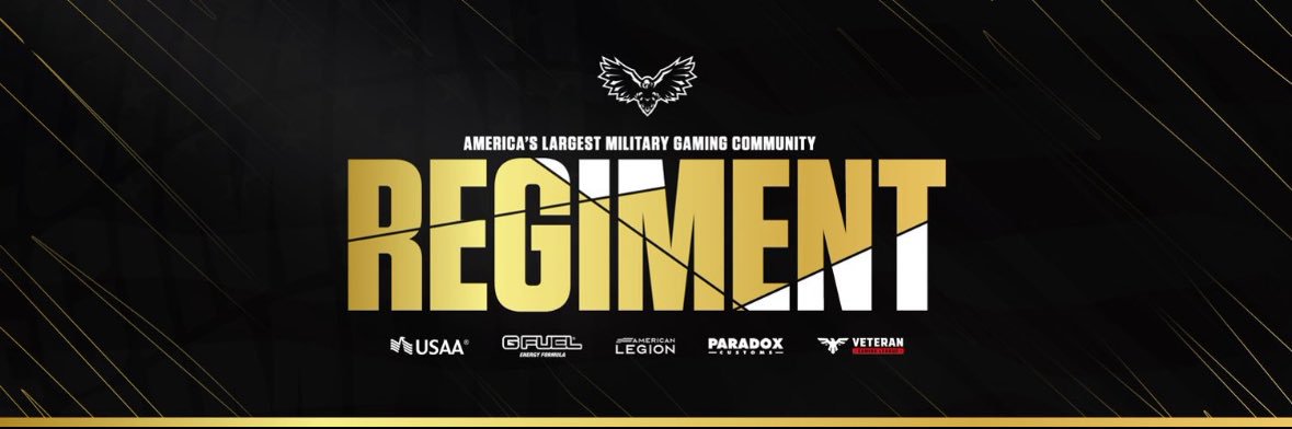 RG | Steelethal ✝️ 🎮 🪂 🥋 🥊 🏎️ banner