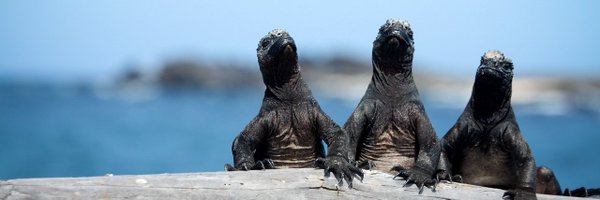 UNC_Galapagos Profile Banner