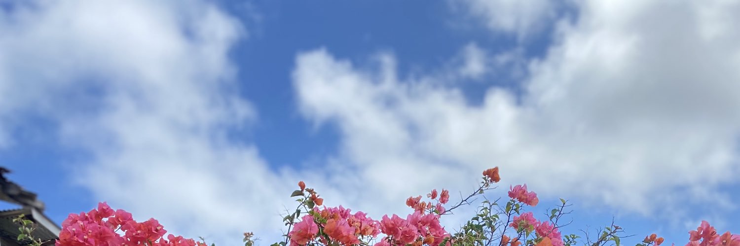 bookiefox's profile banner image