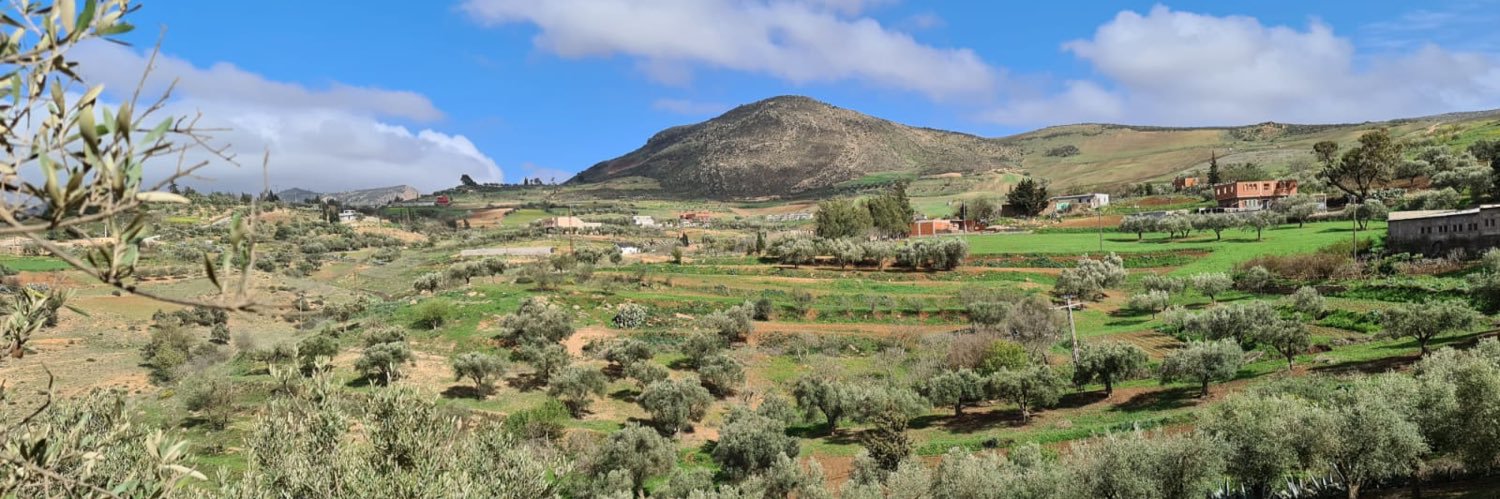 Mr.Constateur banner