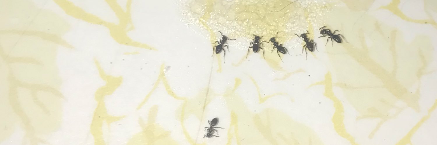 PTMC19's profile banner image
