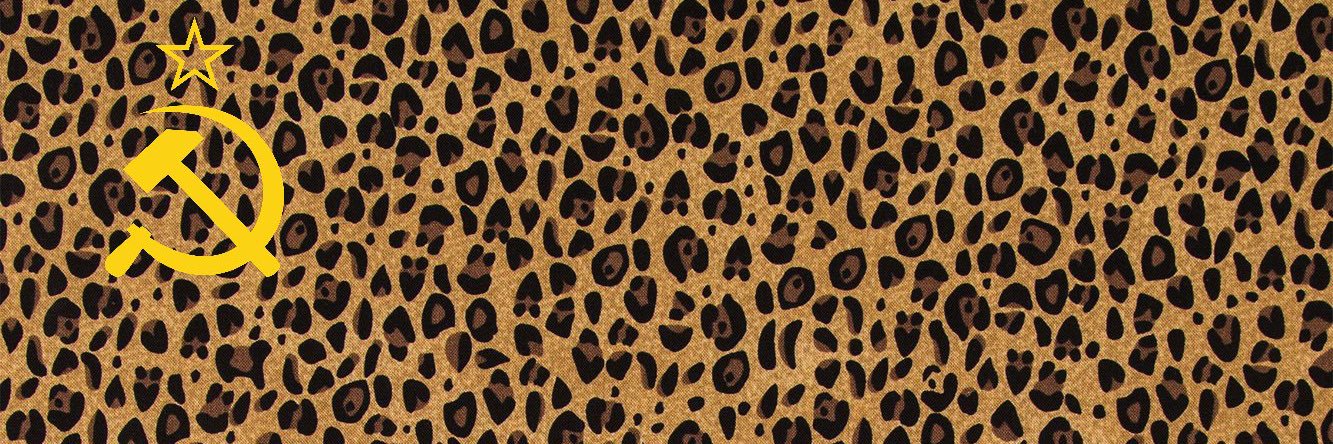 amaliadorable's profile banner image
