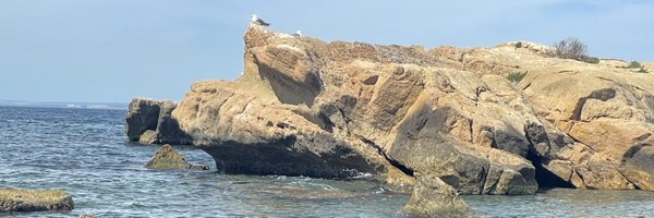 lm_catala Profile Banner