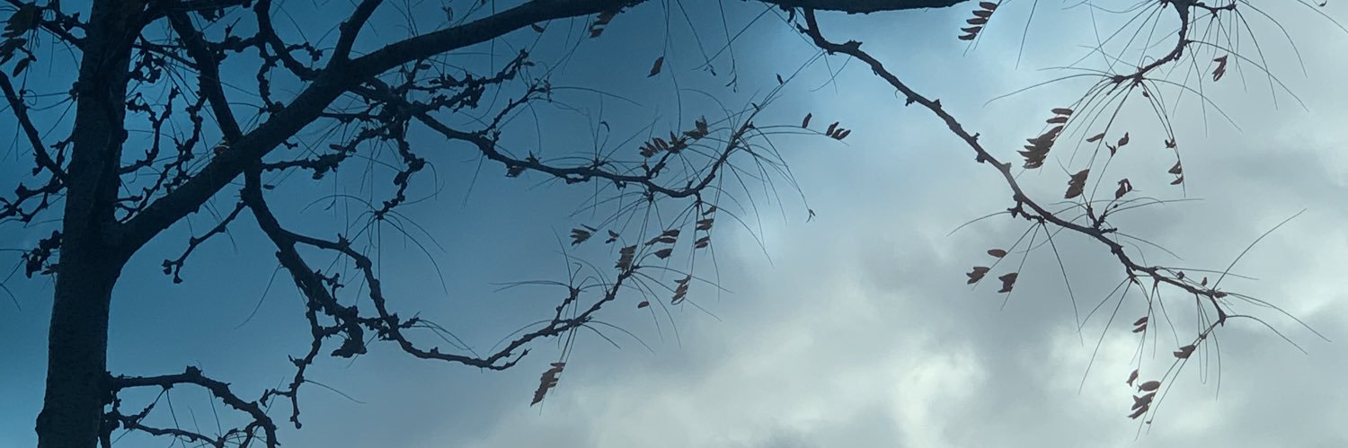 DietyOfWind's profile banner image
