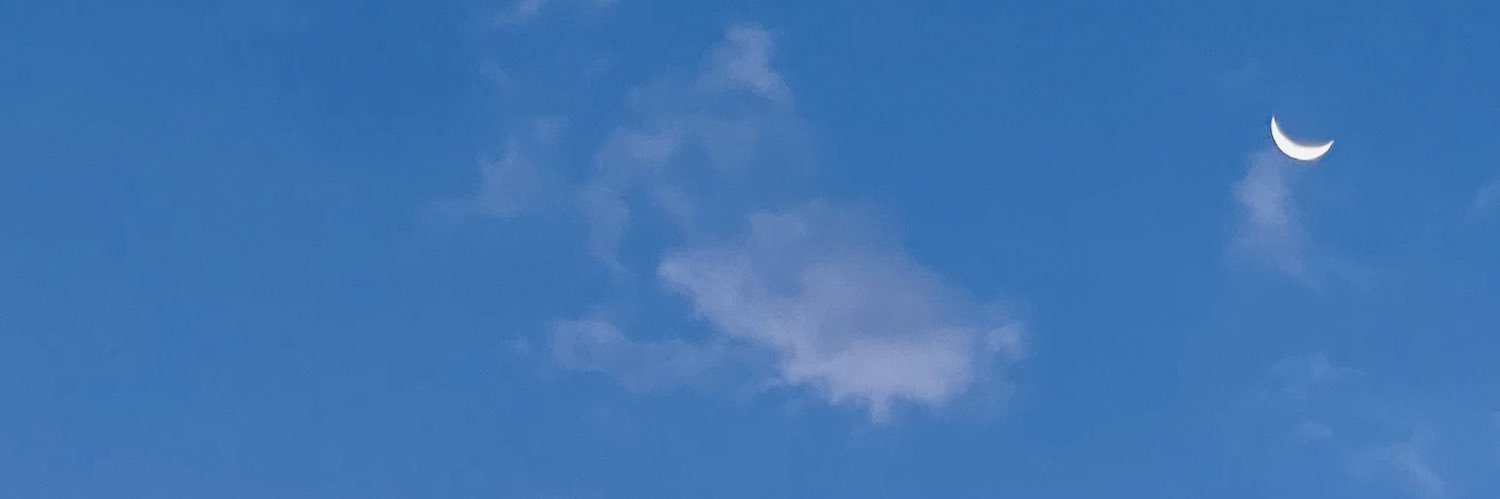 squirrelhugz's profile banner image