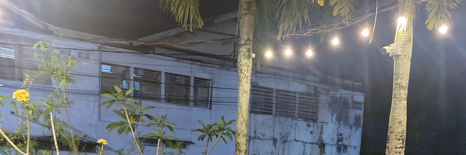 dhinailz's profile banner image