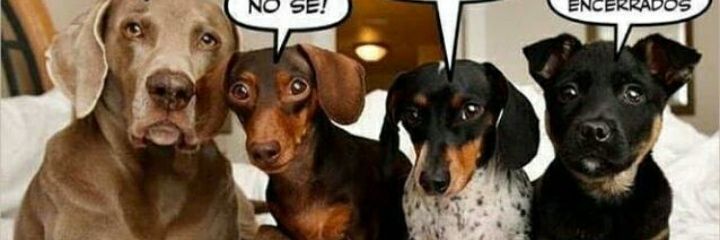 Hola banner