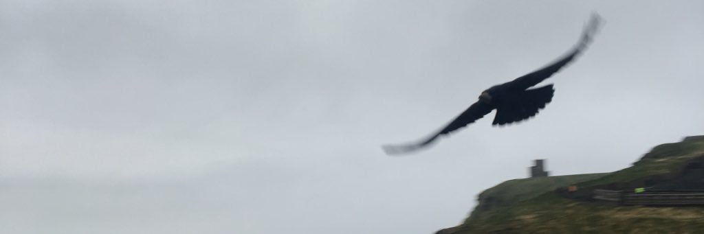 Buttergenie's profile banner image