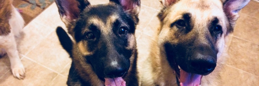 danakline_'s profile banner image