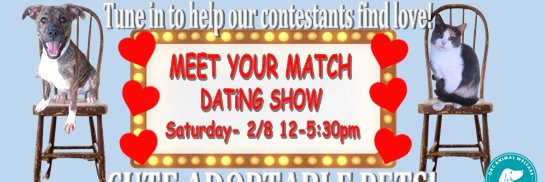 OKC Animal Welfare banner