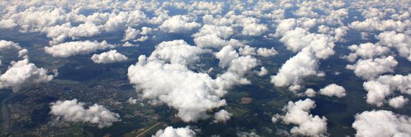 platypii Profile Banner