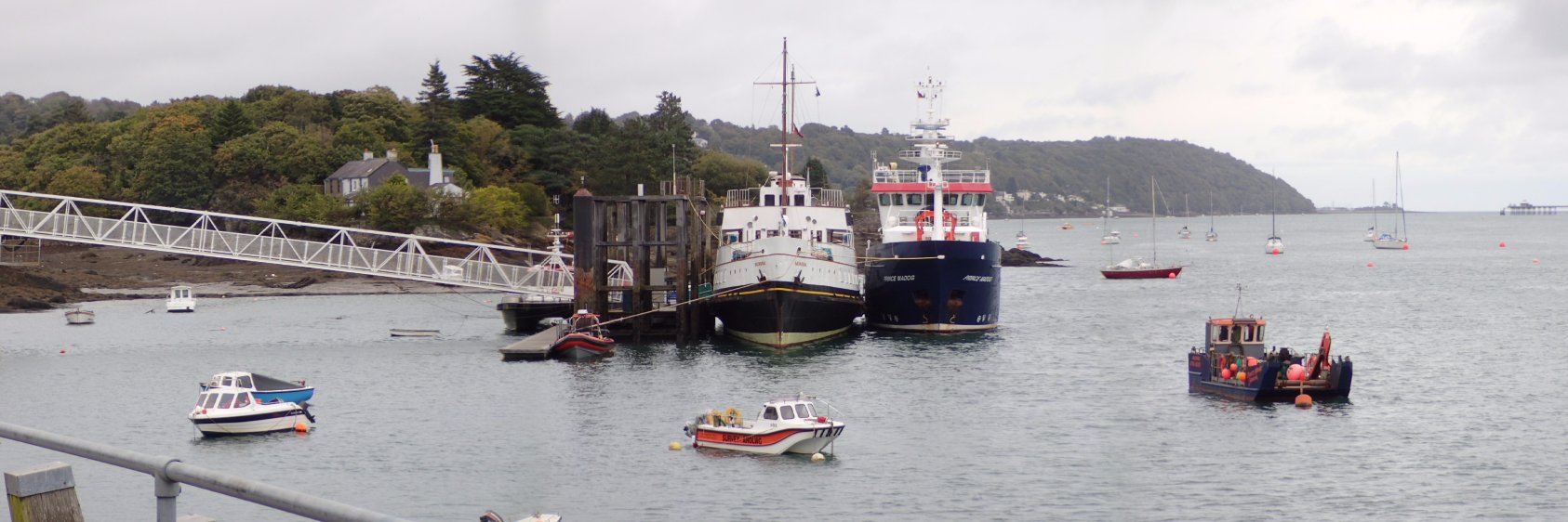 Timothy Whitton banner