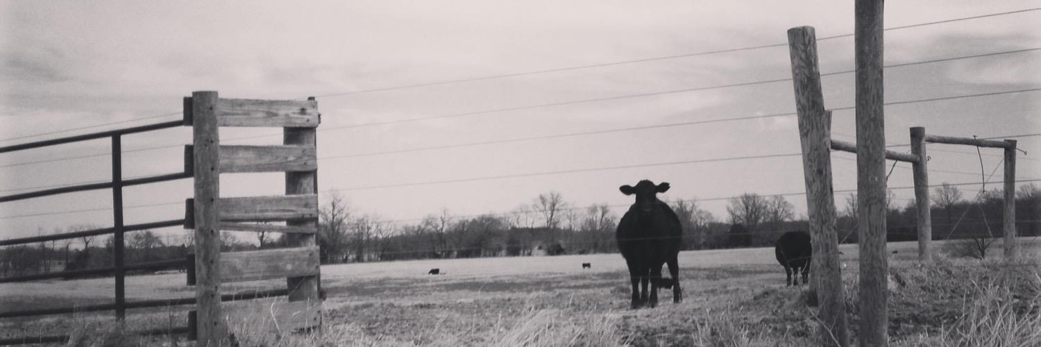 cpladus's profile banner image