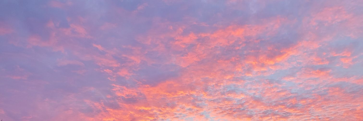 Beau's Wife banner