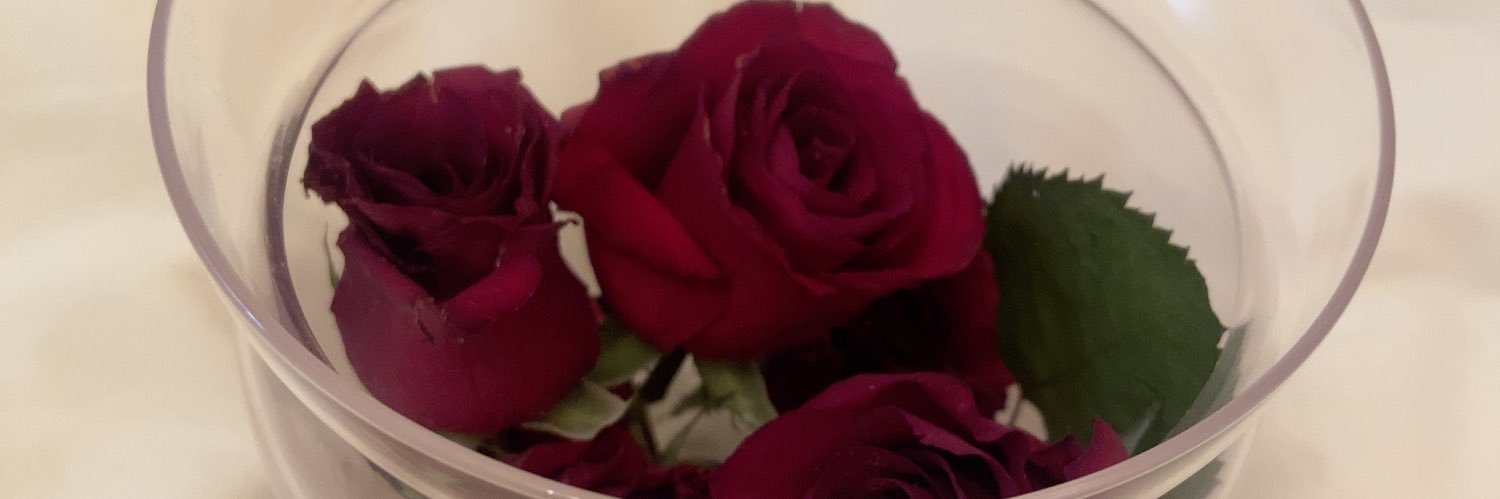 yukiusagi7787's profile banner image