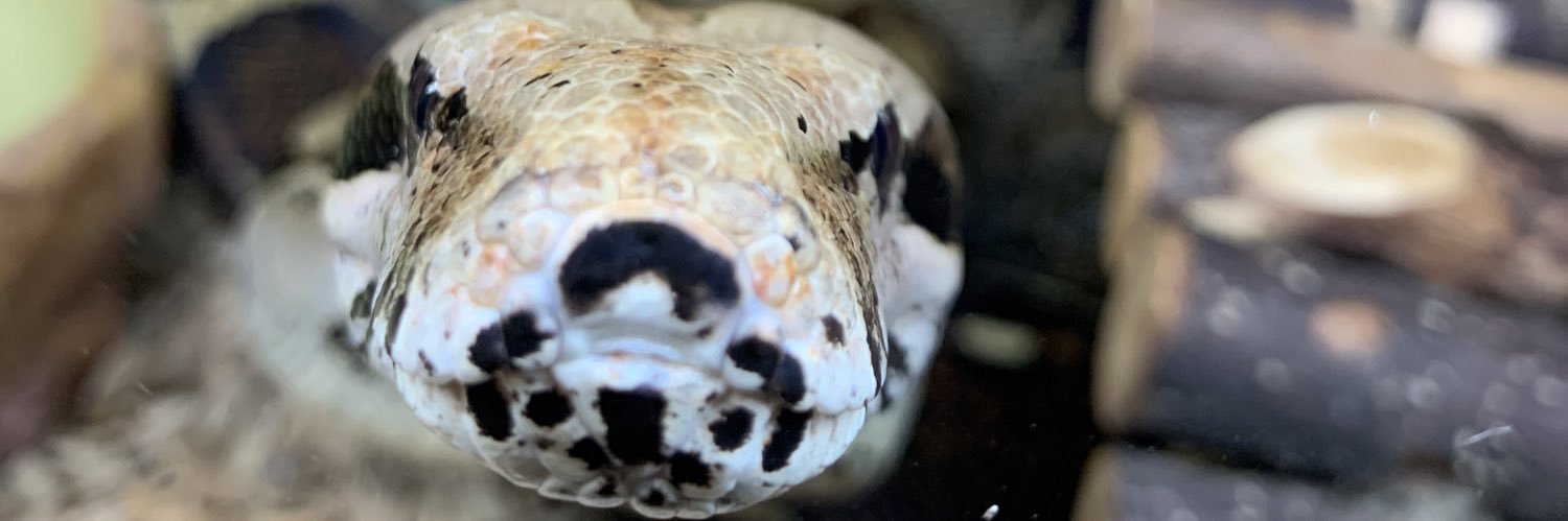 ConstrictorCentral banner