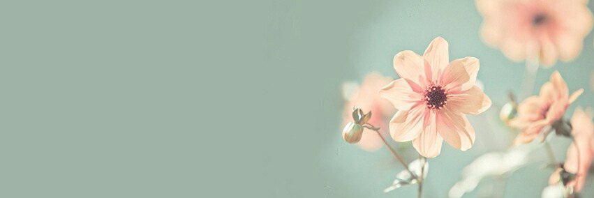 marialec98_'s profile banner image
