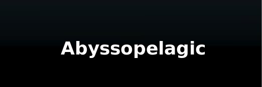 _ransomware's profile banner image