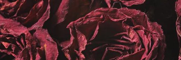 tsvalarierose Profile Banner