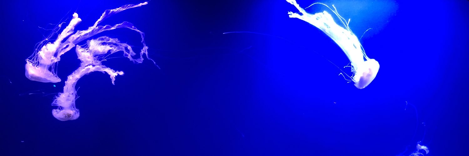 Polar_Icon's profile banner image