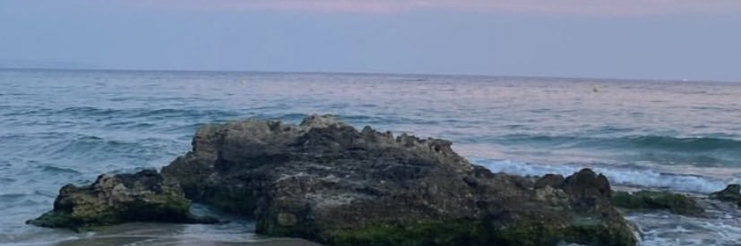 sofer___'s profile banner image