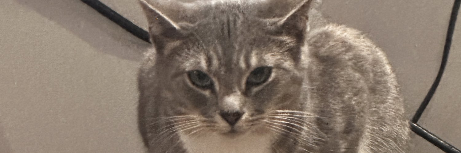 SeanNOFS's profile banner image