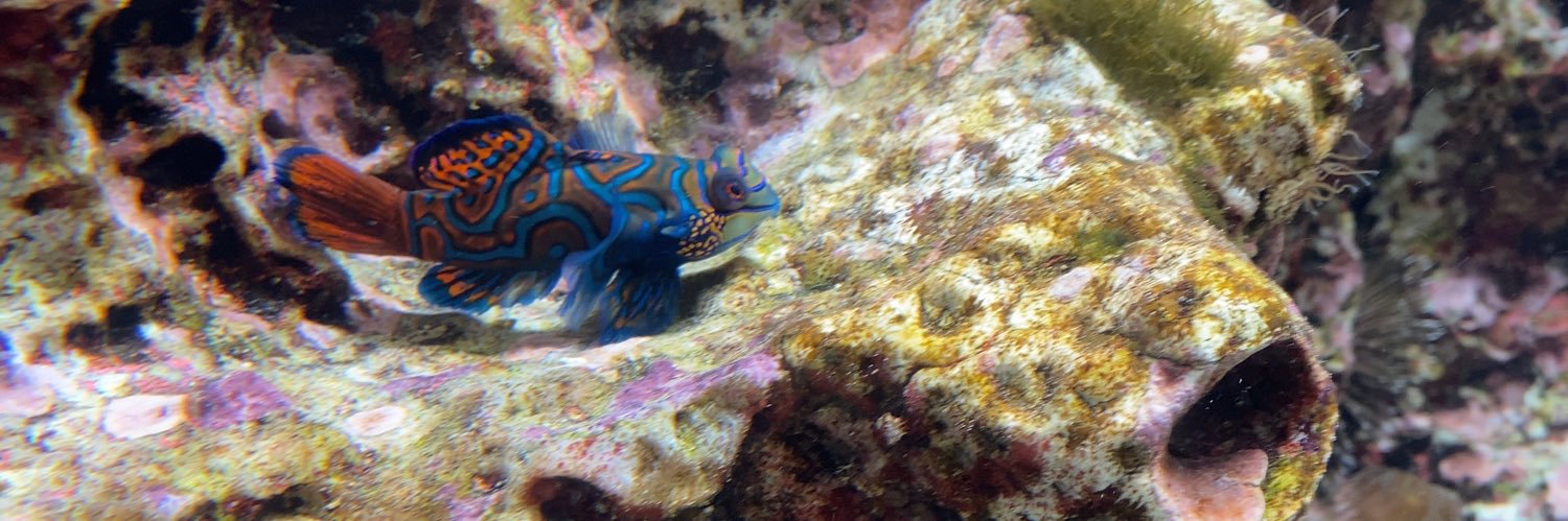 ❆蝉❆コンロ banner