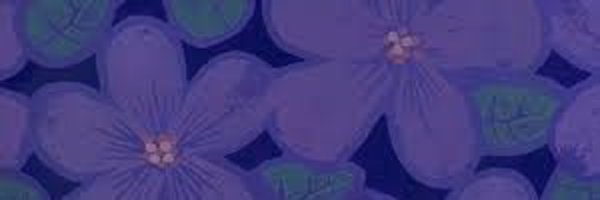 SailerNight Profile Banner