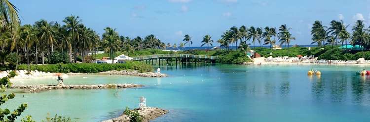 Dominique Mortier banner