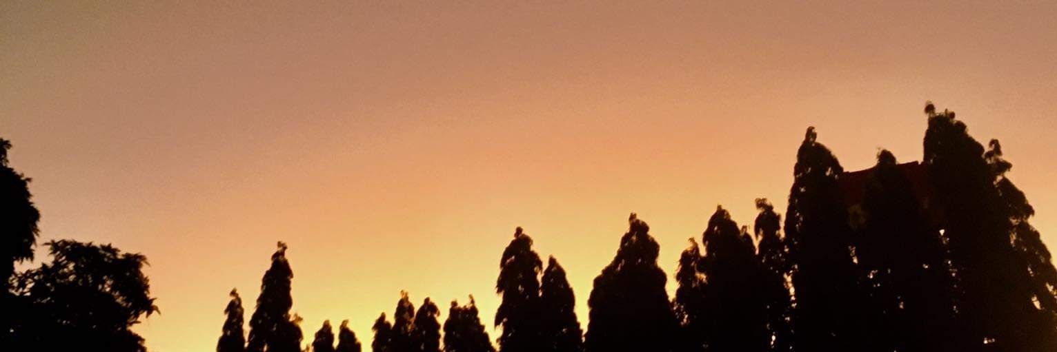 notarcuss's profile banner image