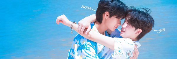 metawintop Profile Banner