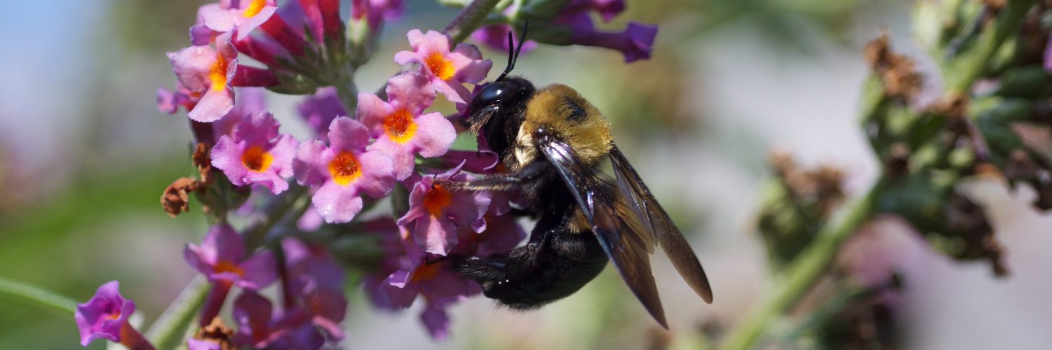 Dr. Gina L. C. Yosten banner