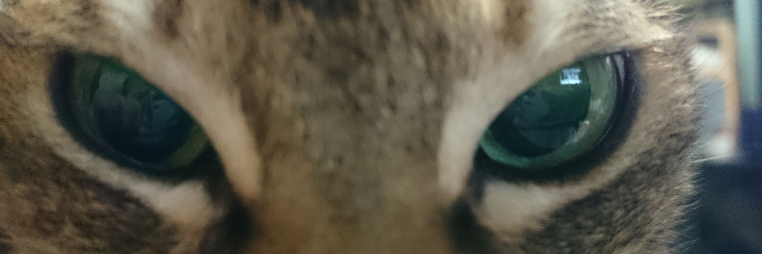 🐸🍺👓Shin Imamura🀄 banner