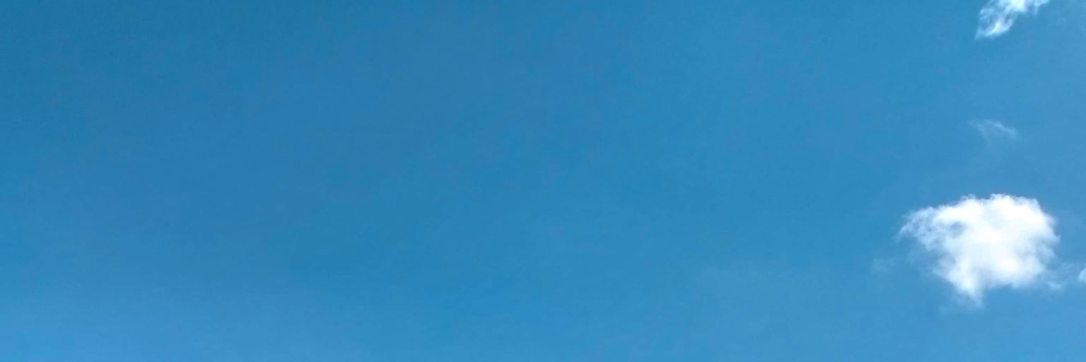 Fir! banner