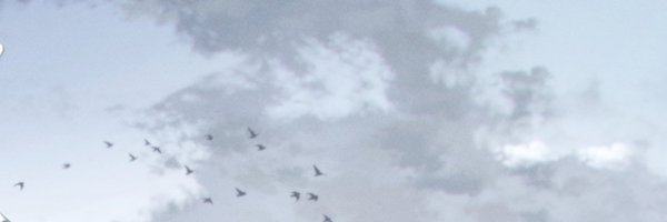 x_Uxien Profile Banner