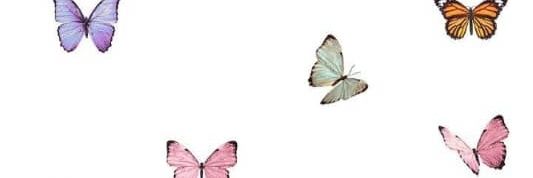 fagranm's profile banner image
