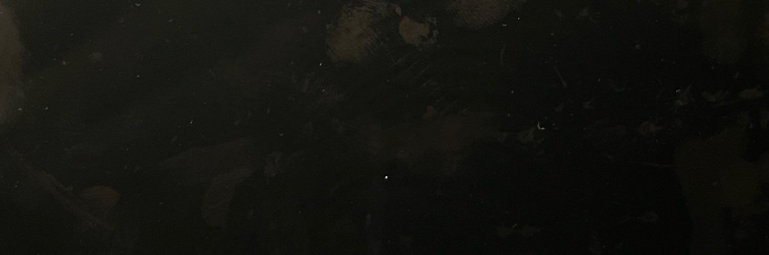 seongawh's profile banner image