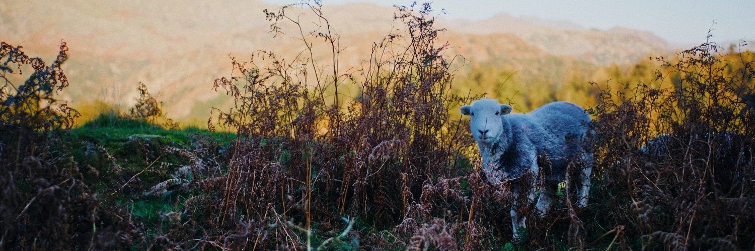 Northern Real Farming Conference banner