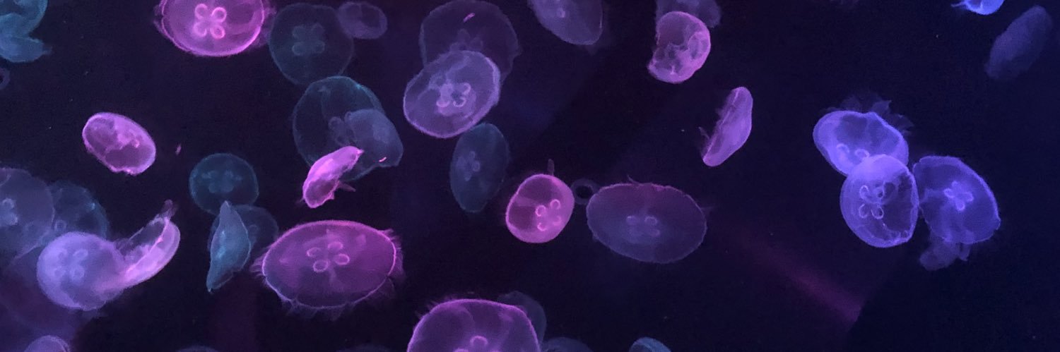 ururamenn's profile banner image